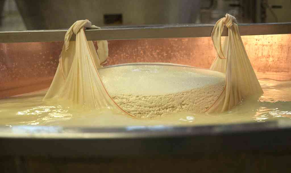 formaggio grana padano