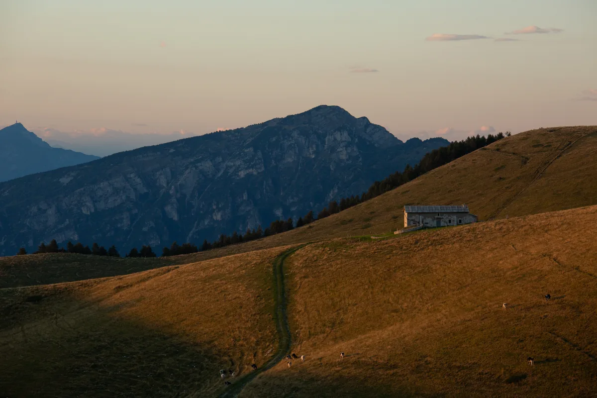 Malga sulla Translessinia